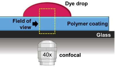 Schematic of confocal imaging of a dye drop penetrating a polymer coating