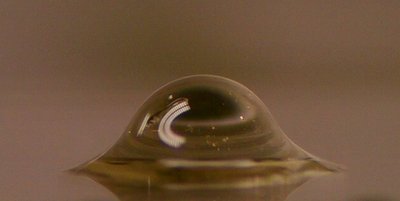 Crosslinked PDMS drop spreading on a surface