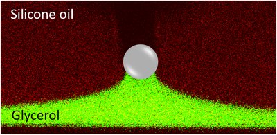 Microparticle at a silicone oil and glycerol interface